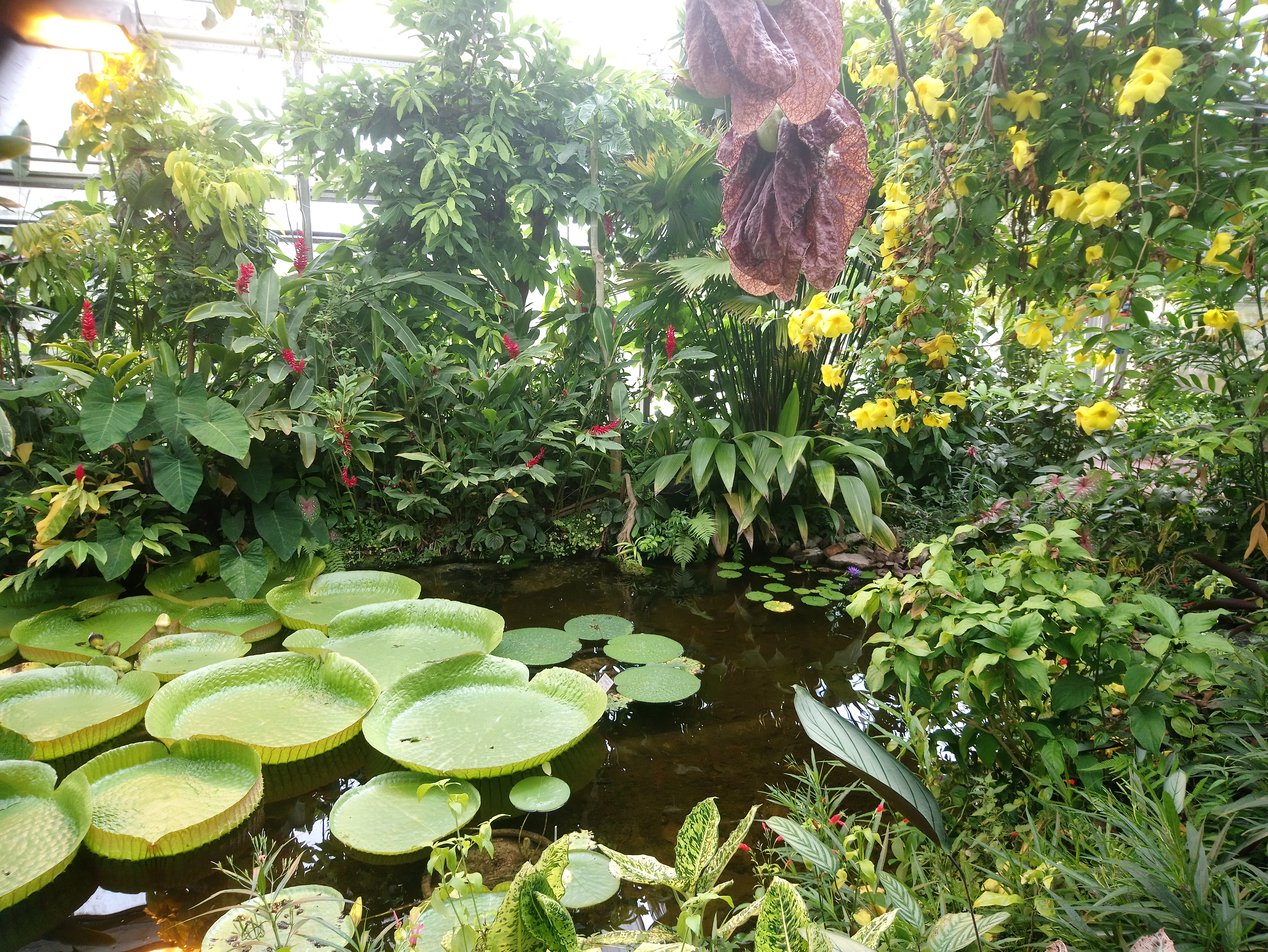 Photo n° 2 de l'avis de Cathy.E fait le 27/07/2019 à 14:02