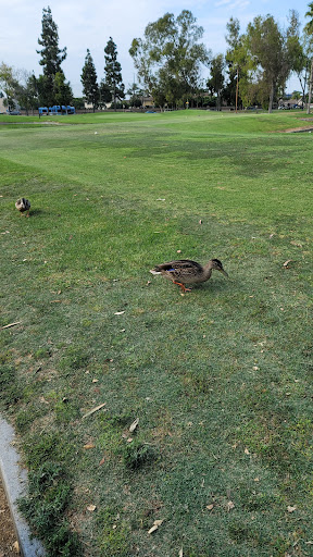 Golf Course «David L. Baker Memorial Golf Course», reviews and photos, 10410 Edinger Ave, Fountain Valley, CA 92708, USA