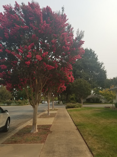 Spa «Synergy Spa Wellness Center», reviews and photos, 7995 Princevalle St, Gilroy, CA 95020, USA