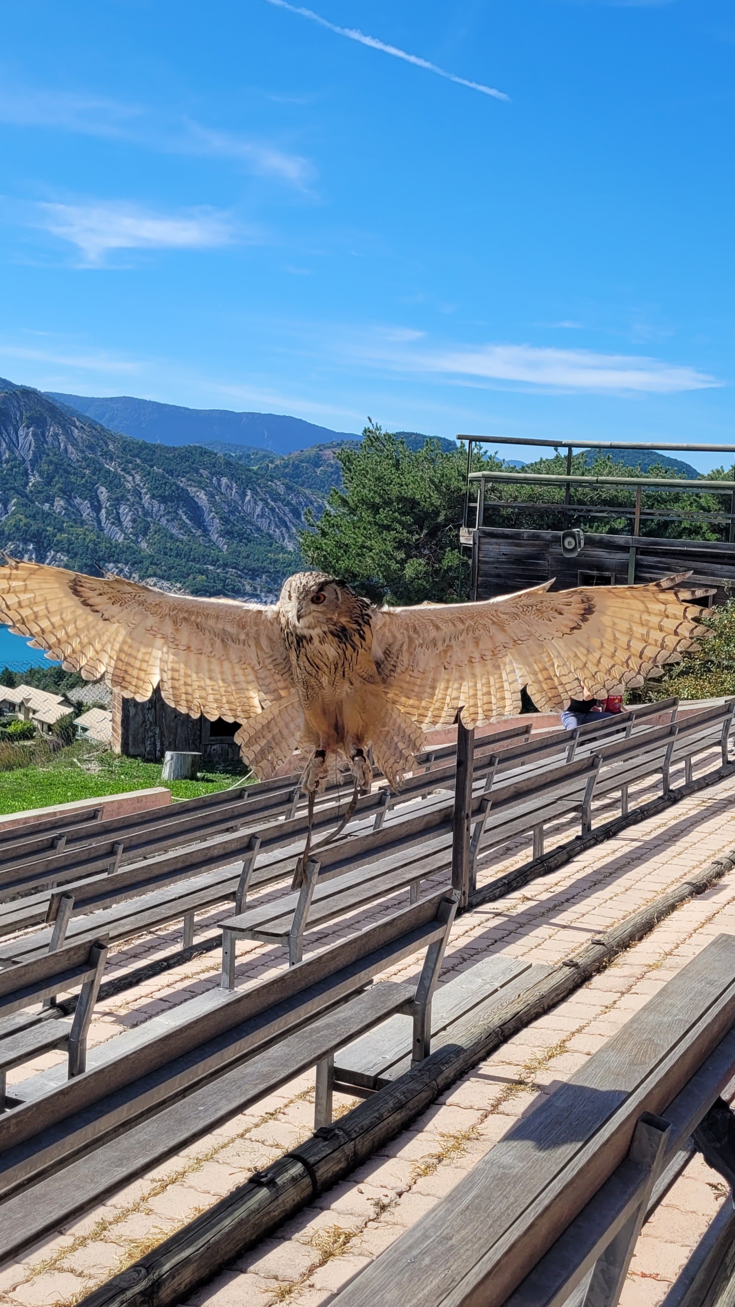 Photo n° 2 de l'avis de Damien.a fait le 15/10/2023 à 19:24