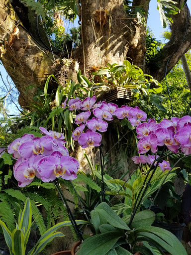 Tourist Attraction «Walton House», reviews and photos, 28501 SW 187th Ave, Homestead, FL 33030, USA