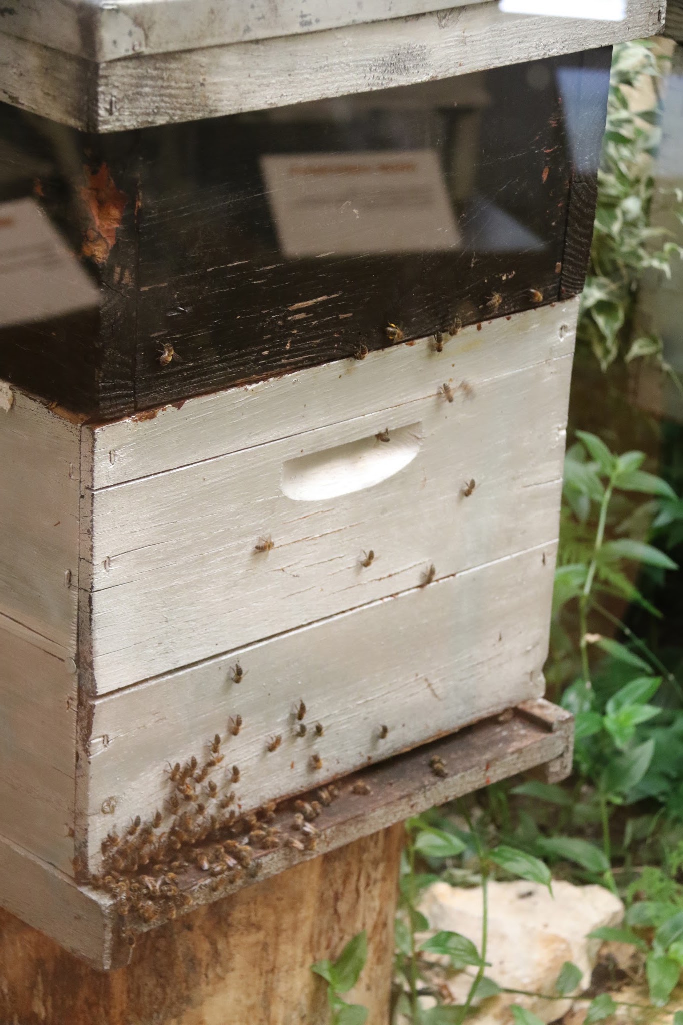 Photo n° 1 de l'avis de Pouchkar.l fait le 24/08/2017 à 16:44