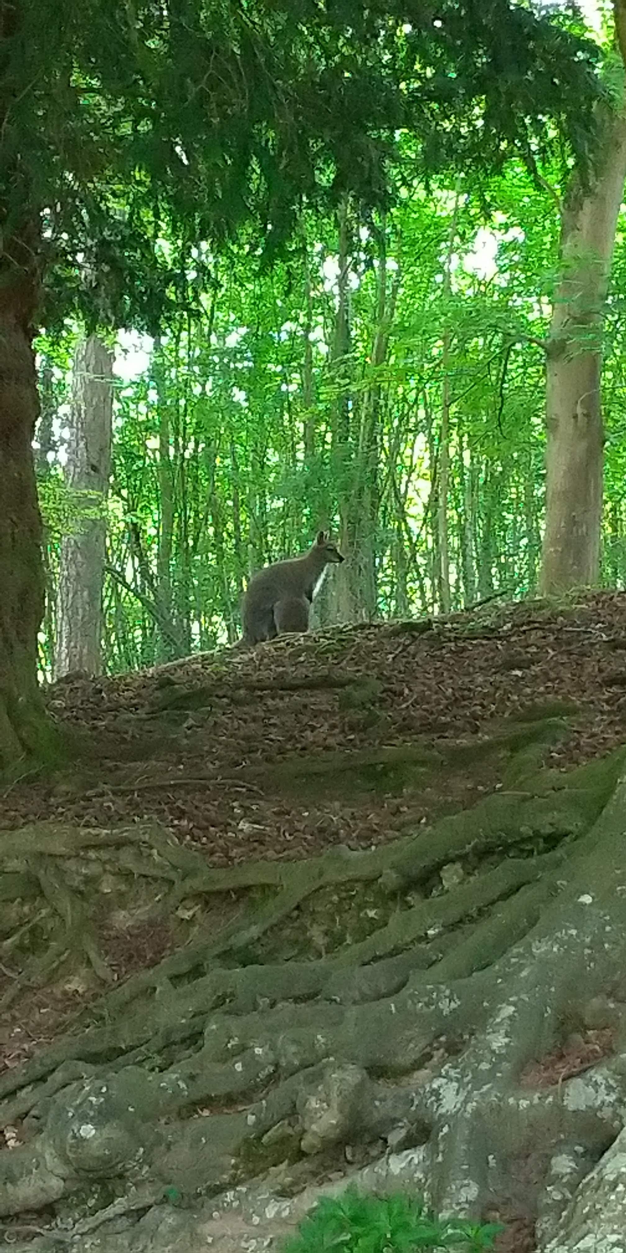 Photo n° 22 de l'avis de Maxime.E fait le 19/05/2019 à 20:15