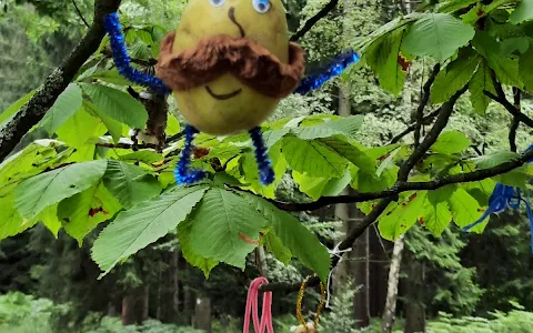 Kartoffelbaum im Hürtgenwald image
