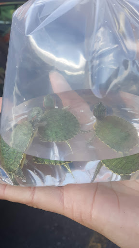 Pet Store «Pet Source 1901», reviews and photos, 1901 W 8th St B, Los Angeles, CA 90057, USA