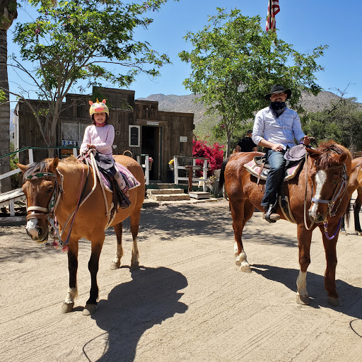 Pony ride service Oxnard