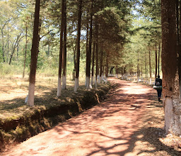 Parque Estatal El Ocotal photo