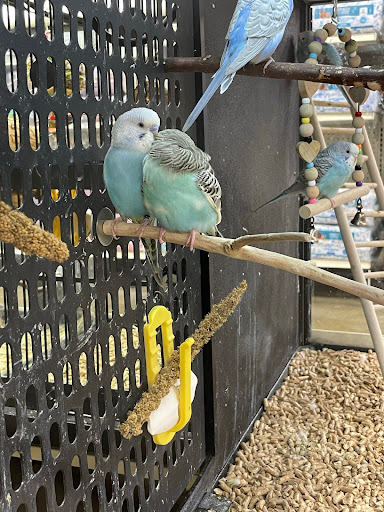 Pet Supply Store «PetSmart», reviews and photos, 1140 W Elliot Rd, Tempe, AZ 85284, USA