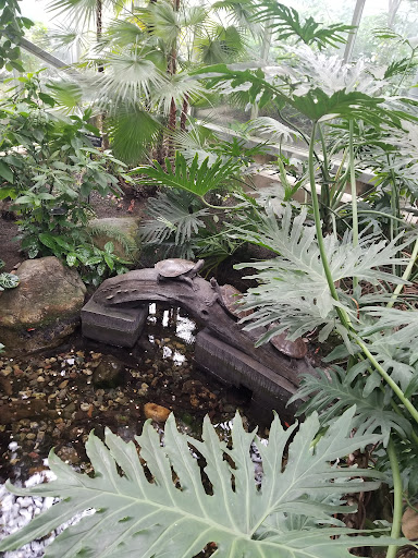 Gift Shop «Meijer Gardens Gift Shop», reviews and photos, 1000 E Beltline Ave NE, Grand Rapids, MI 49525, USA