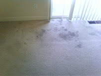 Integrity Carpet Cleaning