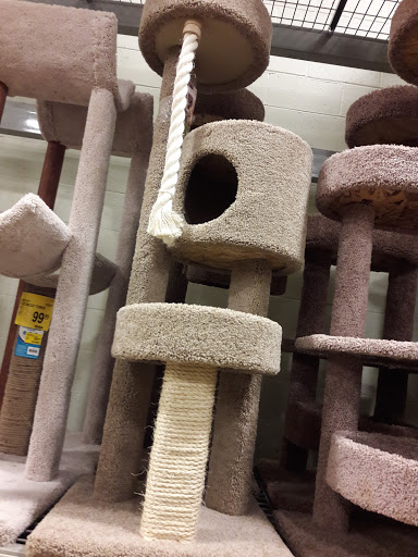 Pet Supply Store «PetSmart», reviews and photos, 2828 Campus Pkwy, Riverside, CA 92507, USA