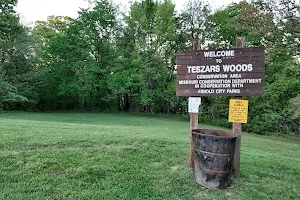 Teszars Woods Conservation Area image