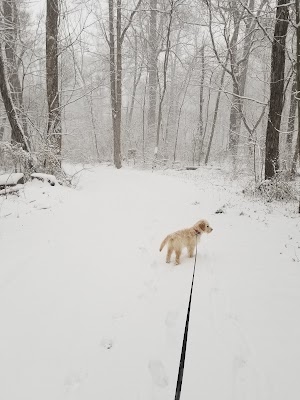 Folly Lick Park - photo 26