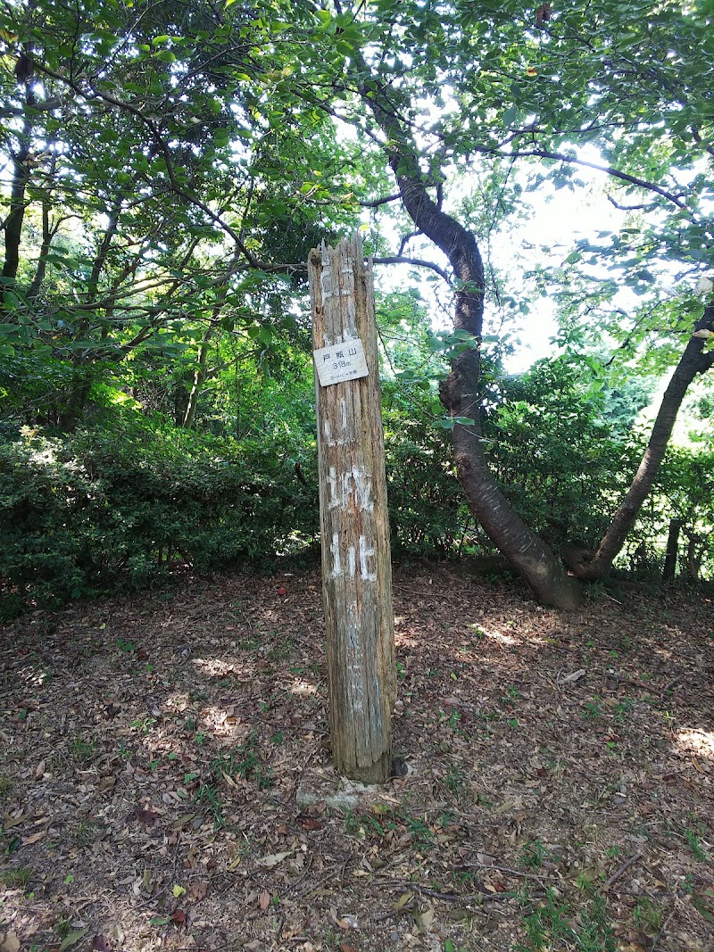 戸城山森林公園