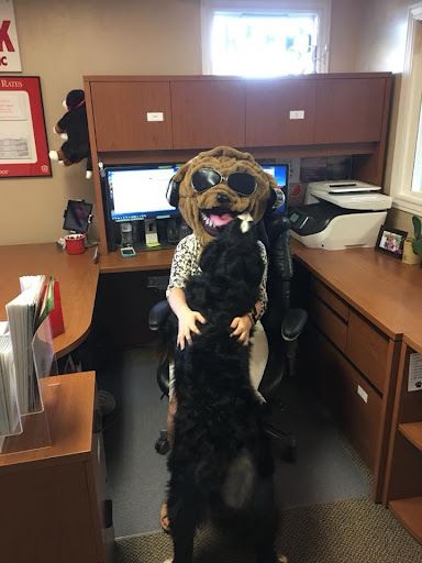 Insurance Agency «Tammy Sluder - State Farm Insurance Agent», reviews and photos