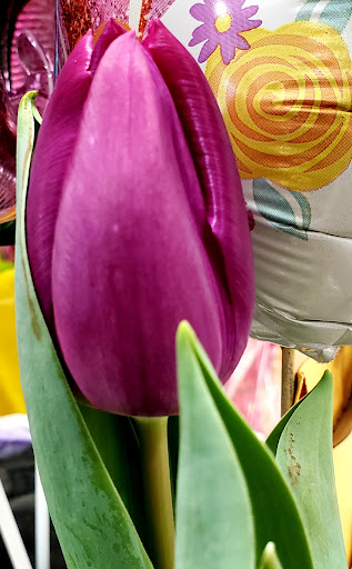 Supermarket «King Kullen», reviews and photos, 127 Sunrise Hwy, Rockville Centre, NY 11570, USA