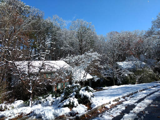 Florist «Dunwoody Flowers», reviews and photos, 4656 Kings Down Rd, Dunwoody, GA 30338, USA