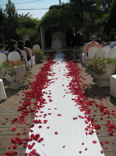 Plant Nursery «A & S Whitestone Nursery», reviews and photos, 2302 Francis Lewis Blvd, Whitestone, NY 11357, USA