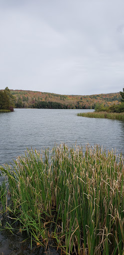 General Store «Barnard General Store», reviews and photos, 6231 VT-12, Barnard, VT 05031, USA