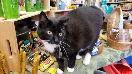 Pet Supply Store «The Natural Pet Center At Ireland Corners», reviews and photos, 609 NY-208, Gardiner, NY 12525, USA