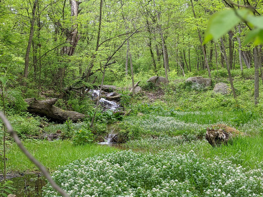 Nature Preserve «Fox Bluff Conservation Area», reviews and photos, Cold Springs Rd, Algonquin, IL 60102, USA