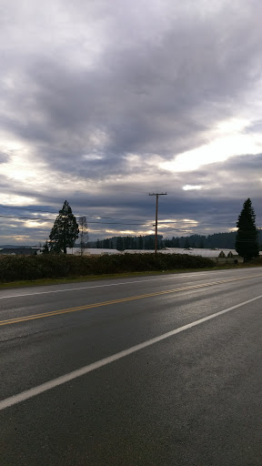 Coffee Shop «Nisqually Express Espresso & Tobacco», reviews and photos, 10324 Martin Way E, Olympia, WA 98516, USA