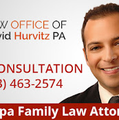 Law Office of David Hurvitz PA | Tampa Divorce & Child Custody Lawyer, Family Law Attorney, Free Consultation