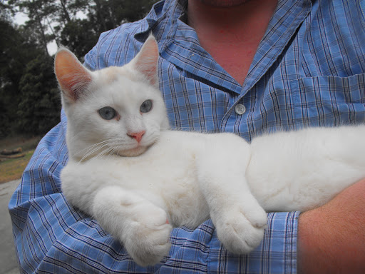 Shiloh’s Animal Sanctuary