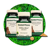 Healing Arts Center Of Covina - Photo 9 - Car repair in Covina, CA, West Covina