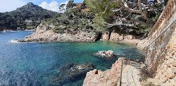 Foto di Platja de Fornells con molto pulita livello di pulizia