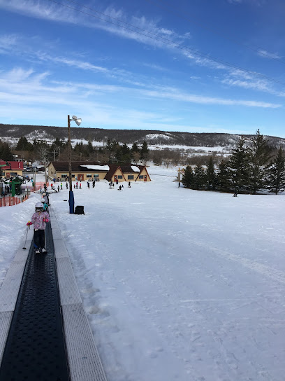 Holiday Mountain Ski Resort
