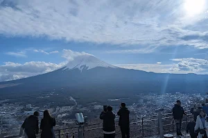 Kawaguchiko Tenjozan Park image