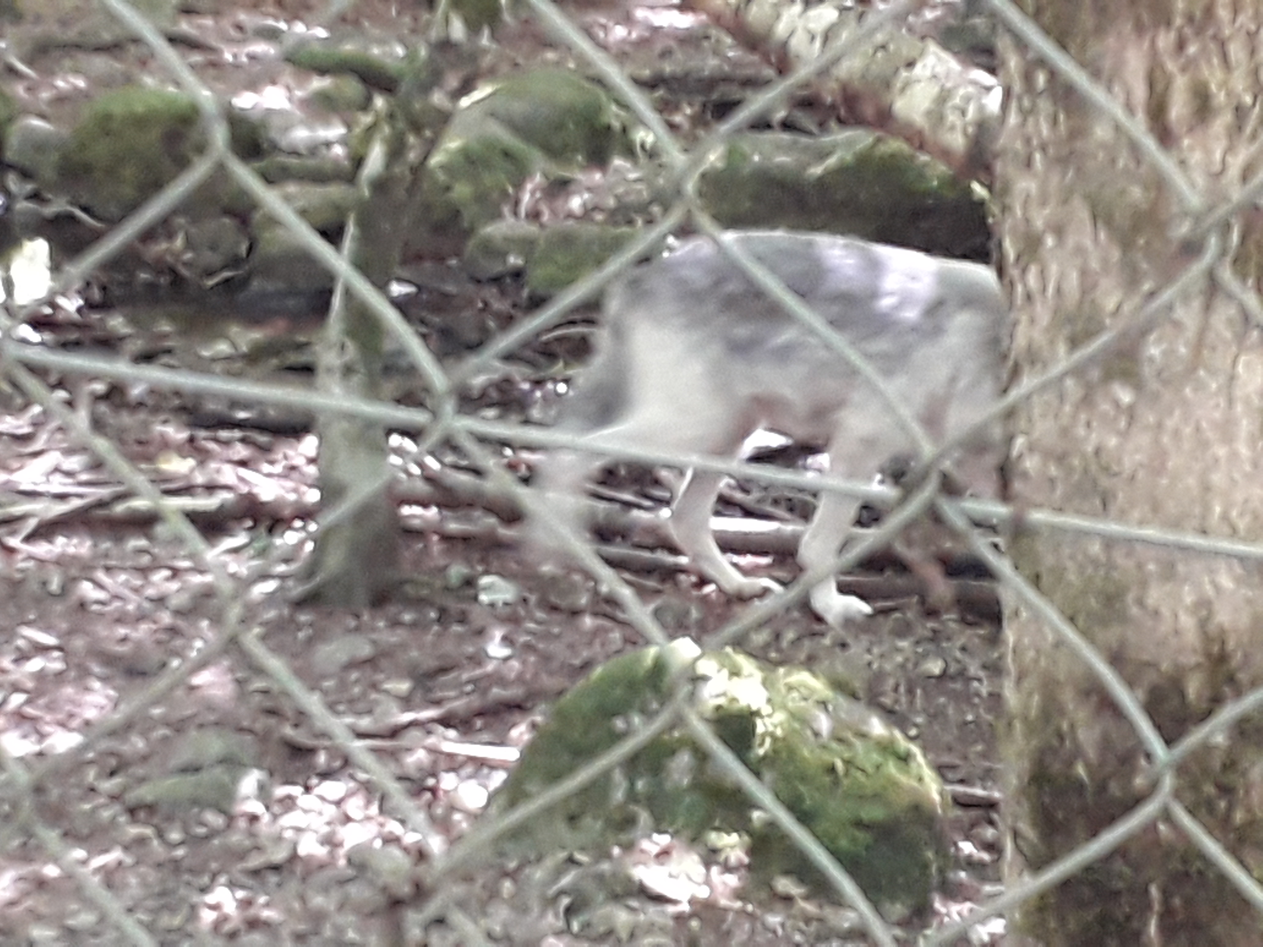 Photo n° 3 de l'avis de Franck.i fait le 19/07/2020 à 15:45