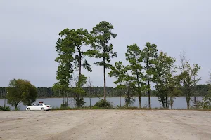 Caney Creek Recreation Area - Angelina National Forest image