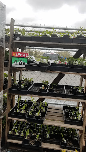 Grocery Store «Grocery Outlet Bargain Market», reviews and photos, 960 Roosevelt Ave, Enumclaw, WA 98022, USA
