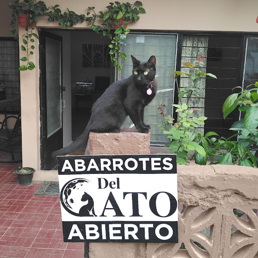 Abarrotes Del Gato