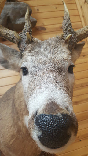 Sporting Goods Store «Midwestern Shooters Supply», reviews and photos, 191 Church St, Lomira, WI 53048, USA