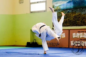 ASD Judo Opitergium image