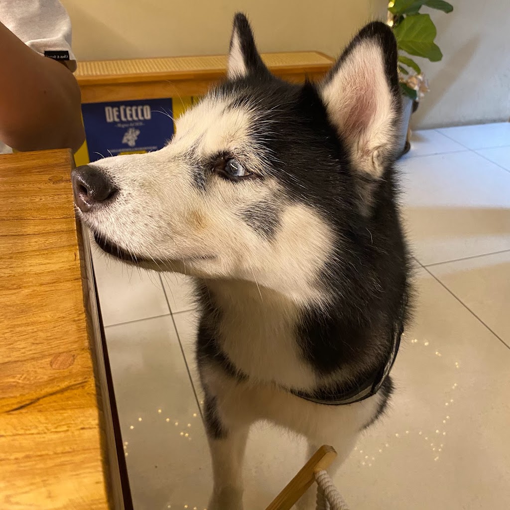 旿野曜初｜早午餐｜義式料理｜歐陸式料理｜咖啡｜手作甜點｜哈士奇狗勾 的照片