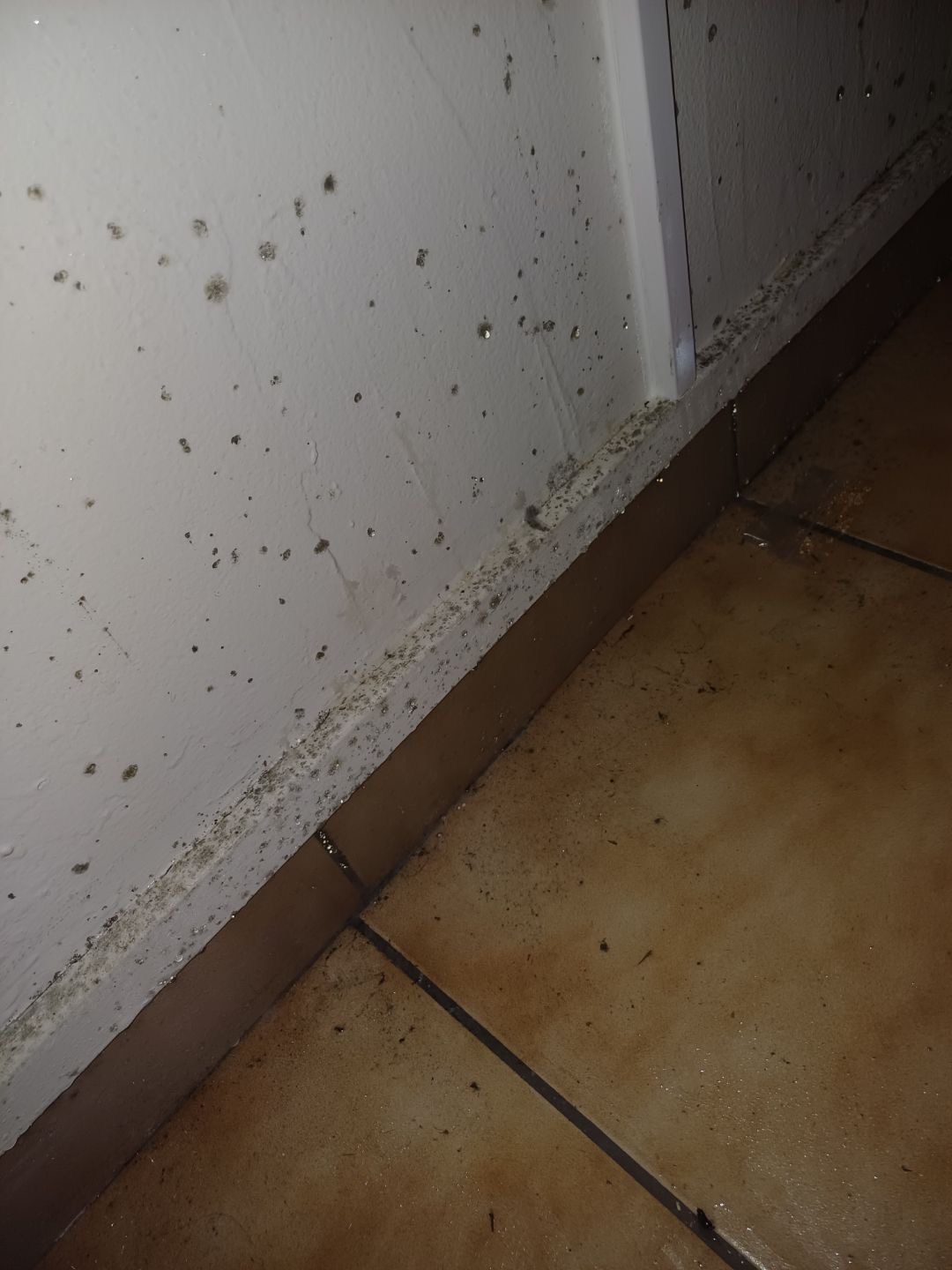 Photo n° 3 de l'avis de Océane.o fait le 07/02/2024 à 14:31