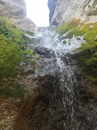 Nature Preserve «Eaton Canyon Nature Center», reviews and photos, 1750 N Altadena Dr, Pasadena, CA 91107, USA