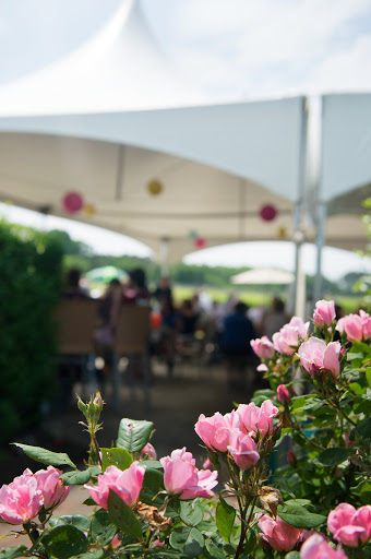 Vineyard «Hawk Haven Vineyard & Winery», reviews and photos, 600 S Railroad Ave, Rio Grande, NJ 08242, USA