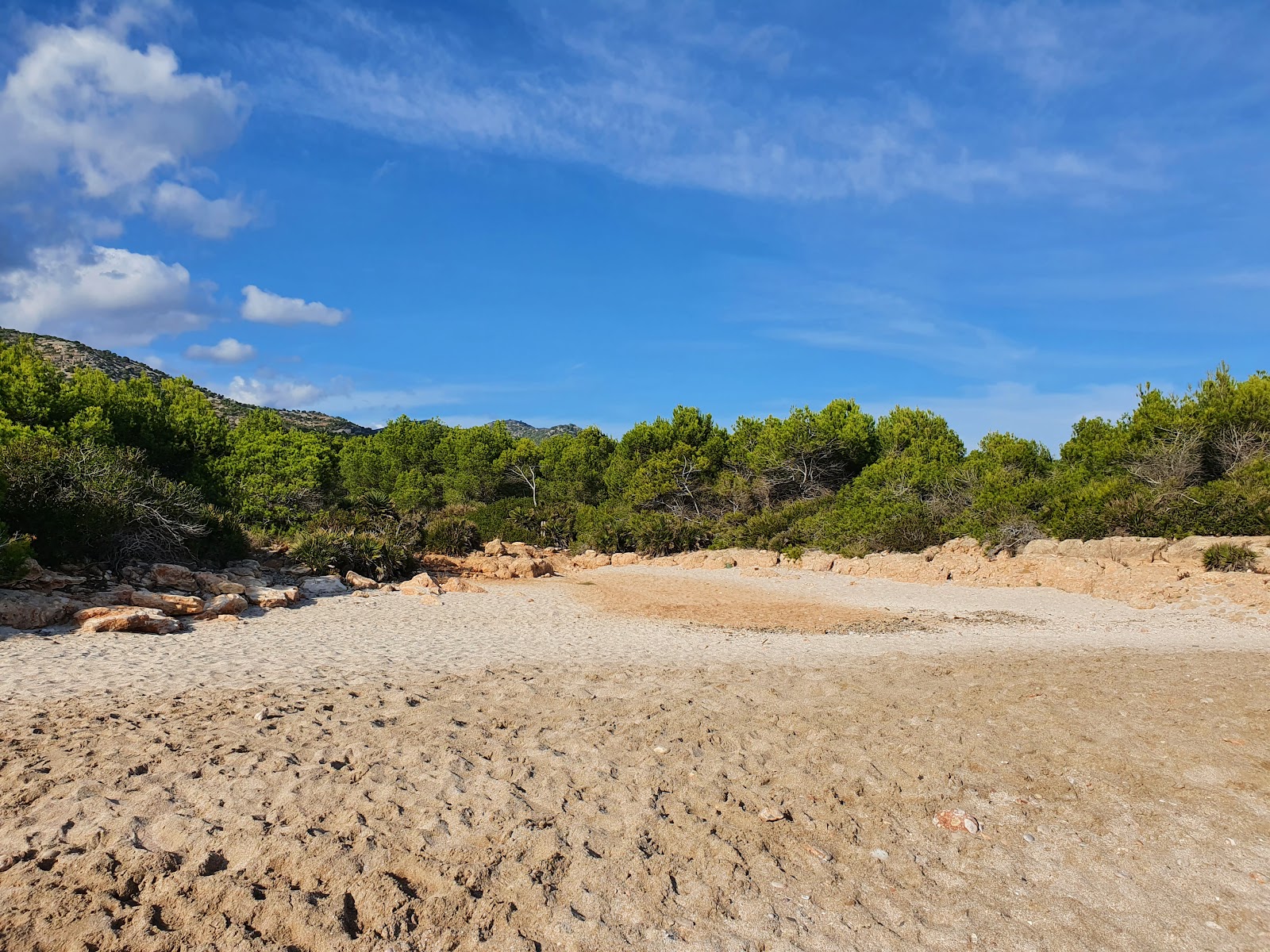 Photo de Platja Serradal 2 zone sauvage