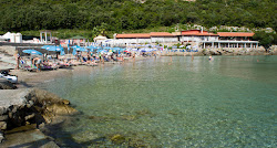 Trsteno beach'in fotoğrafı kısmen tatil bölgesi