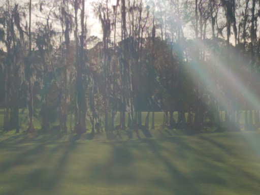 Golf Course «Tranquilo Golf Club at Four Seasons Resort Orlando», reviews and photos, 3451 Golf View Dr, Lake Buena Vista, FL 32830, USA