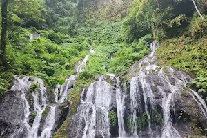 Wanagiri Pucak Manik Waterfall image