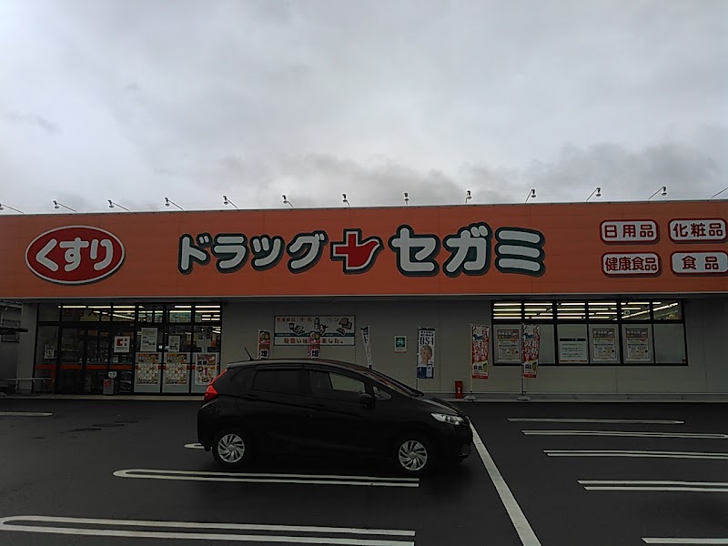 ココカラファイン ドラッグセガミ西須賀店