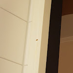 Photo n°9 de l'avis de C. fait le 16/01/2019 à 18:54 sur le  Hotel NH Mannheim Viernheim à Viernheim