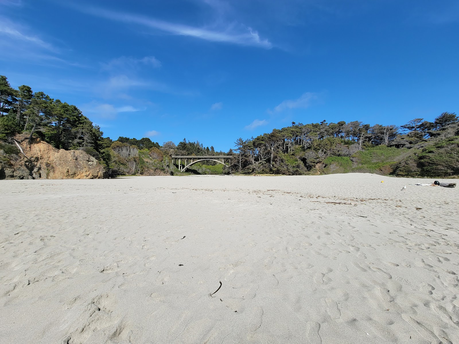 Jug Handle Beach'in fotoğrafı - rahatlamayı sevenler arasında popüler bir yer