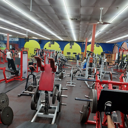 Gym «Colosseum Gym», reviews and photos, 525 Irvington Ave # 5, Newark, NJ 07106, USA